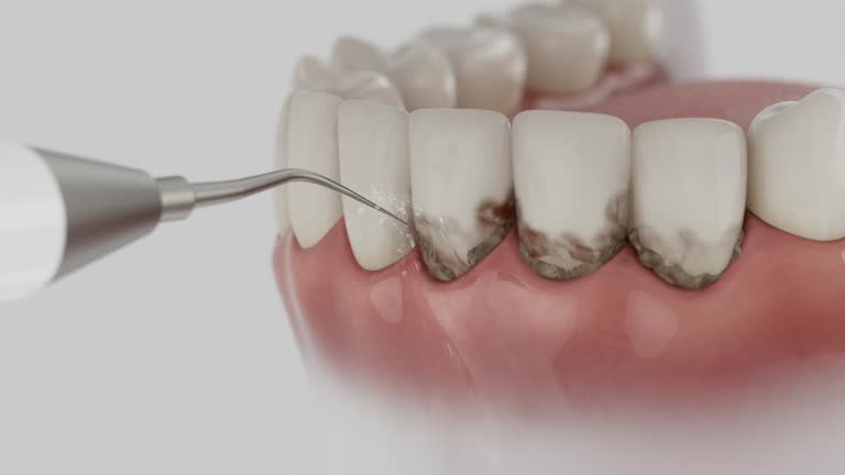 Reliable Dental contractor in Coconut Creek, FL by Dentist Open Now